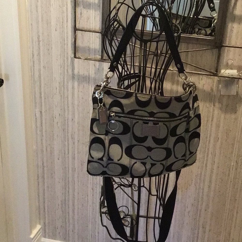 Coach Silver Poppy Crossbody